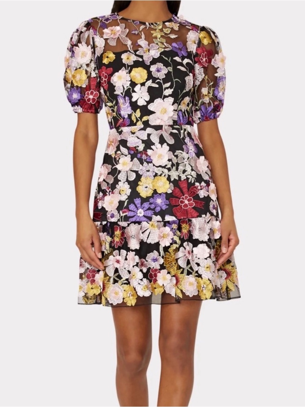 NWT Milly Floral Embroidered Black Sheer Mini Dress